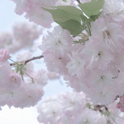 龙马潭FurryQQ群介绍